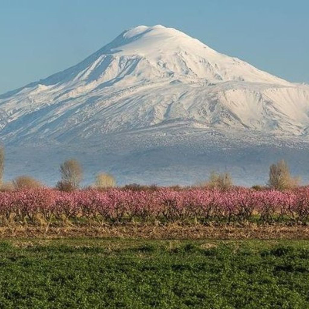 Ararat - The Holy Mountain Of Armenians