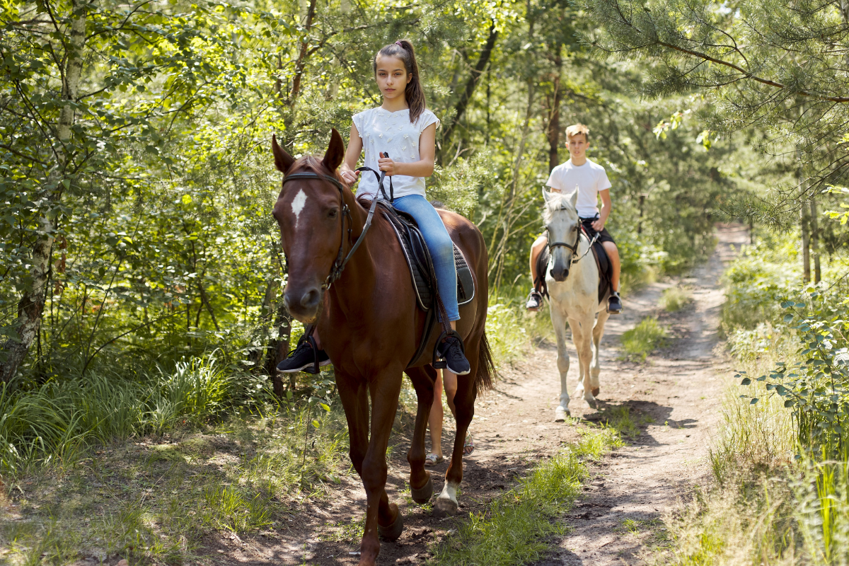 Private Horse Riding Adventure in Tbilisi