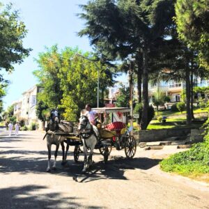 Horse-drawn carriage in Büyükada Island.