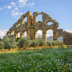 Aqueducts with spring flowers and olive trees in the ancient city of Aspendos in Antalya, Turkey