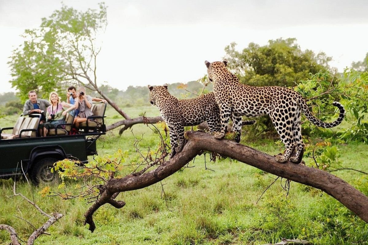 Yala National Park