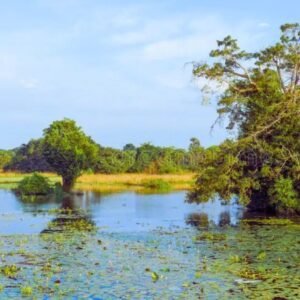 Habarana Lake