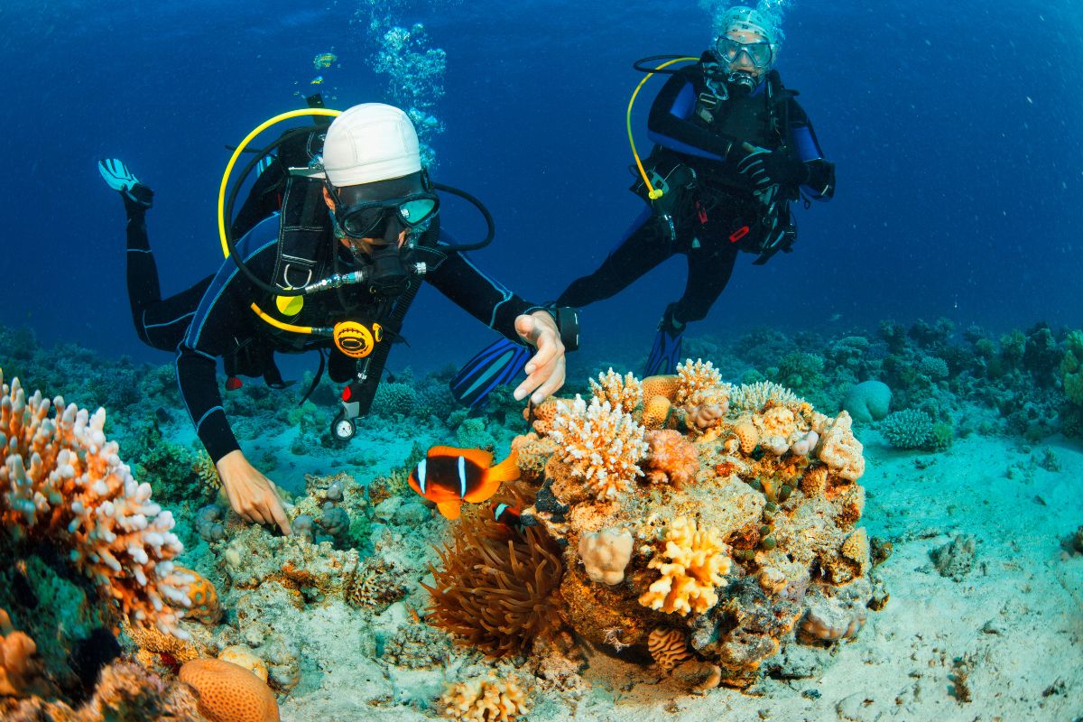 Scuba diving in Gili Trawangan.