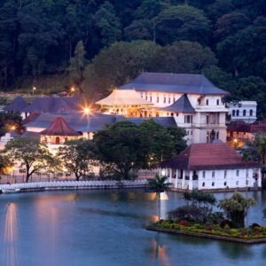 Temple of Scared Tooth Relic