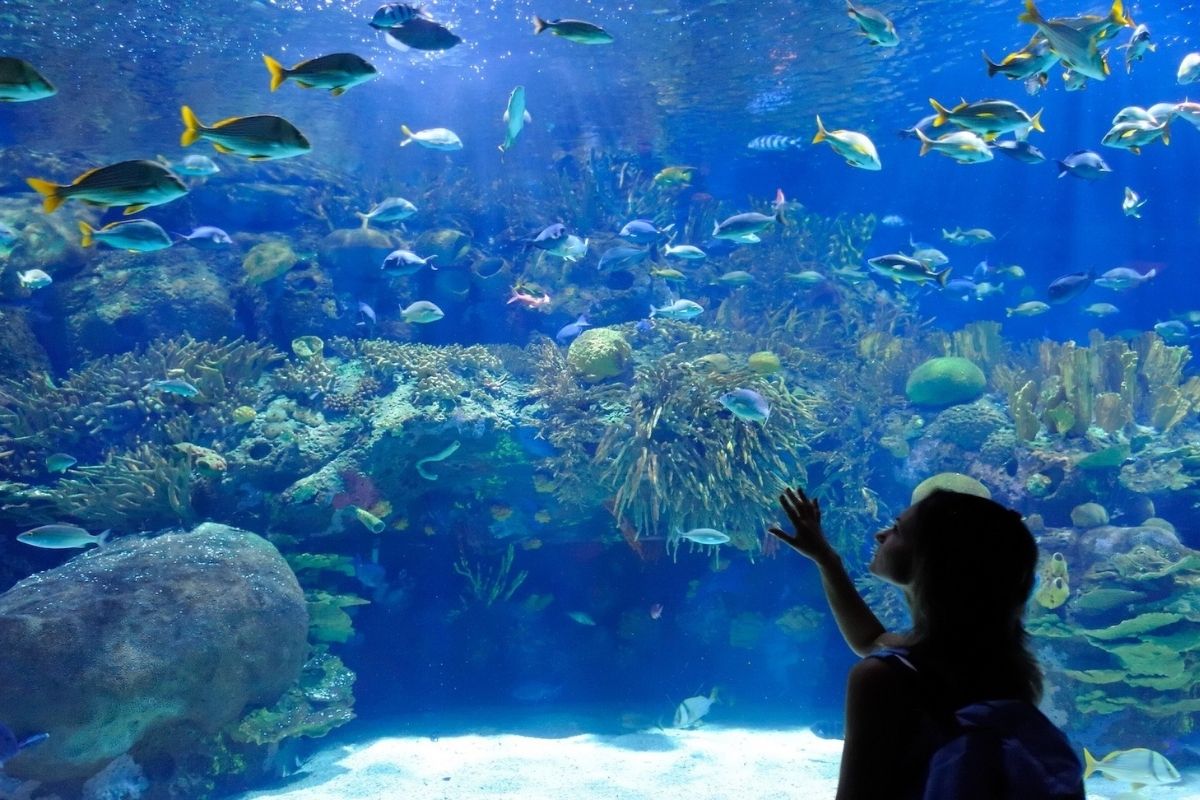 Underwater World Pattaya