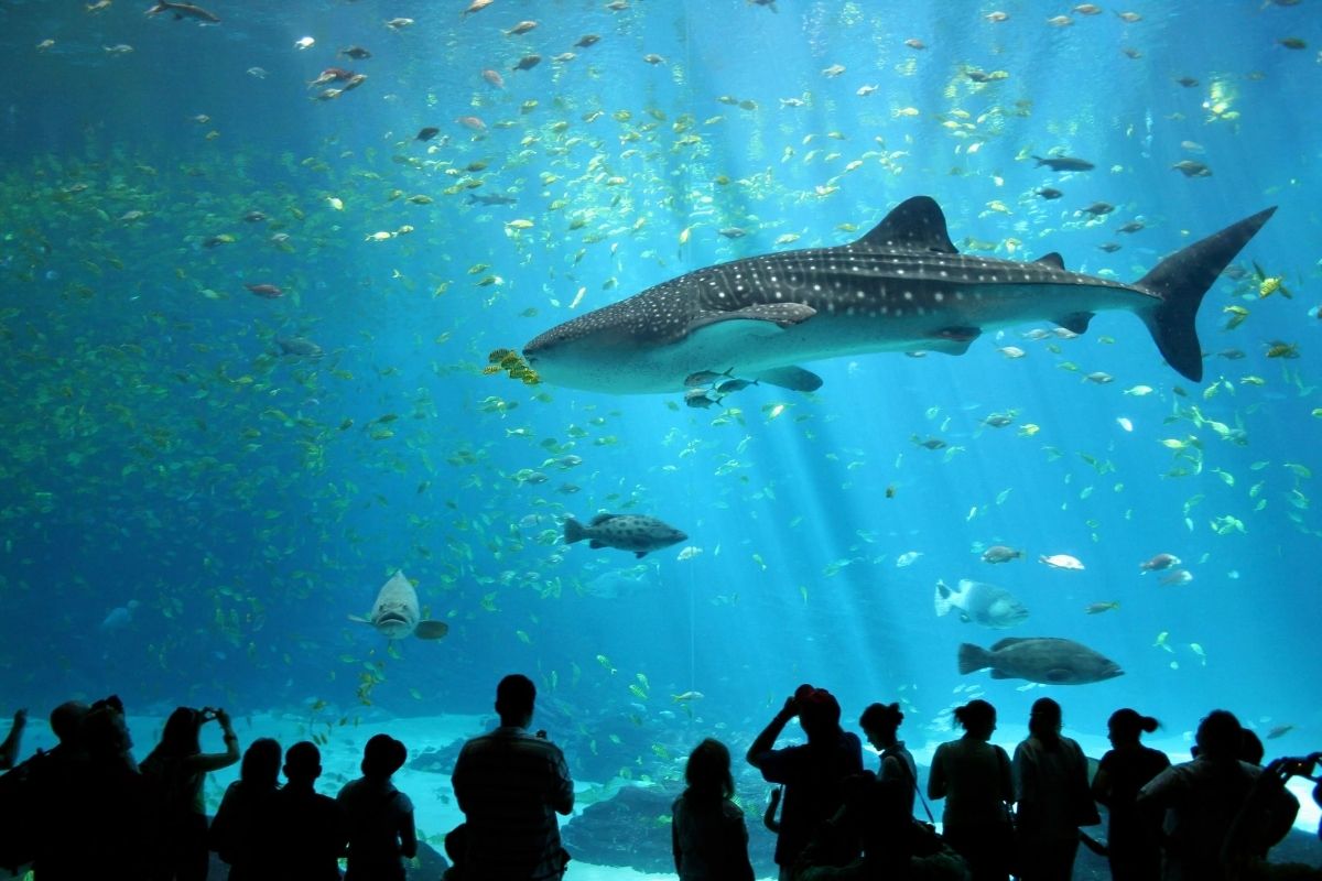 Underwater World Pattaya