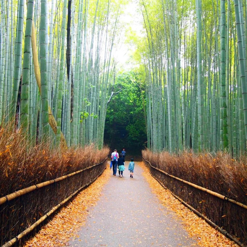 Fushimi Inari Shrine