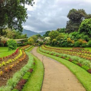 Peradeniya Botanical Garden