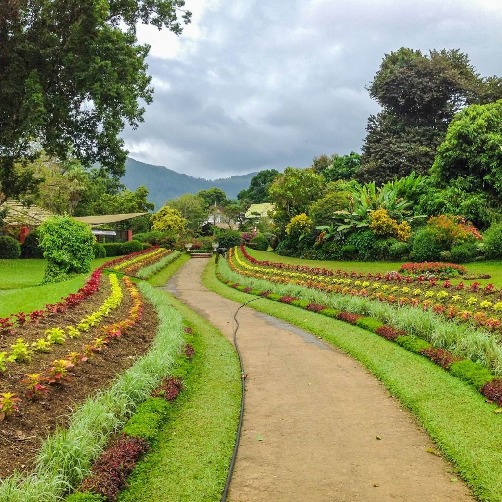 Peradeniya Botanical Garden