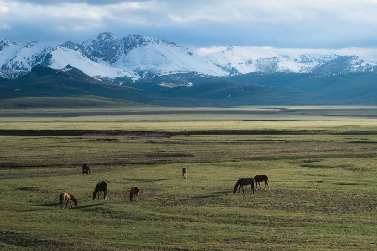 Visit Song Kul