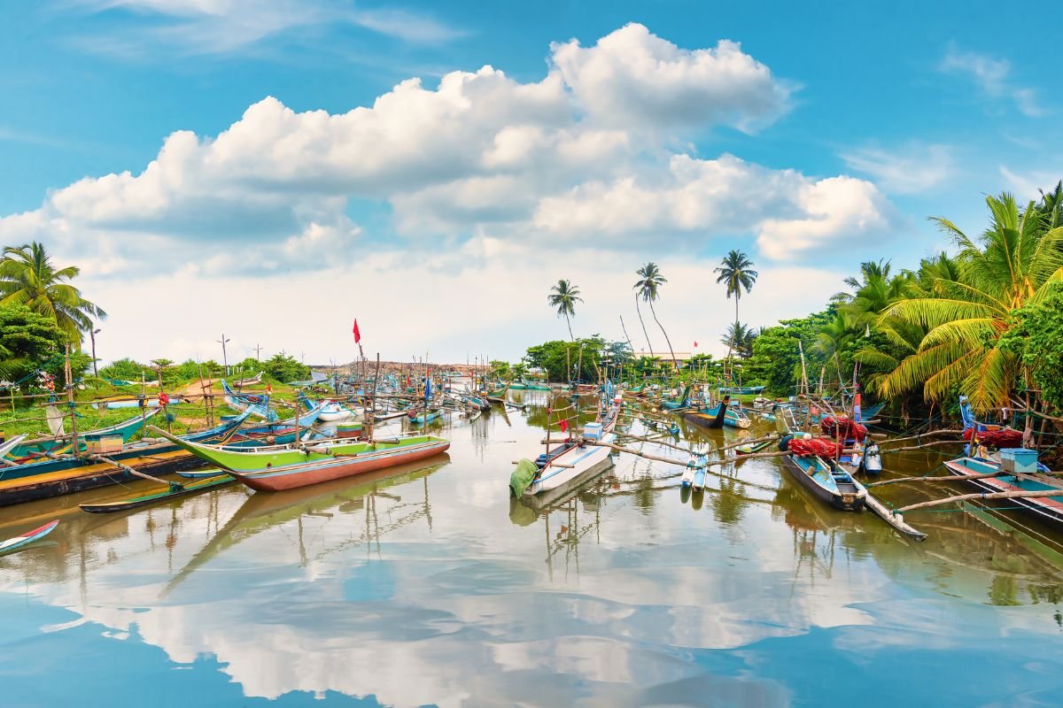 Fishing Boats in Negombo Lagoon