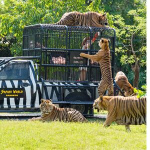 Safari World Bangkok