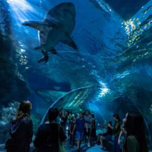 Marine Park