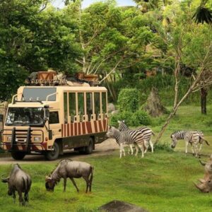 Safari World Tour
