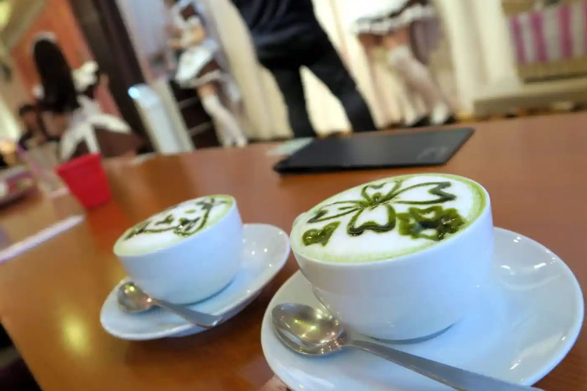 Ordering a matcha latte at a maid café in Akihabara, Tokyo