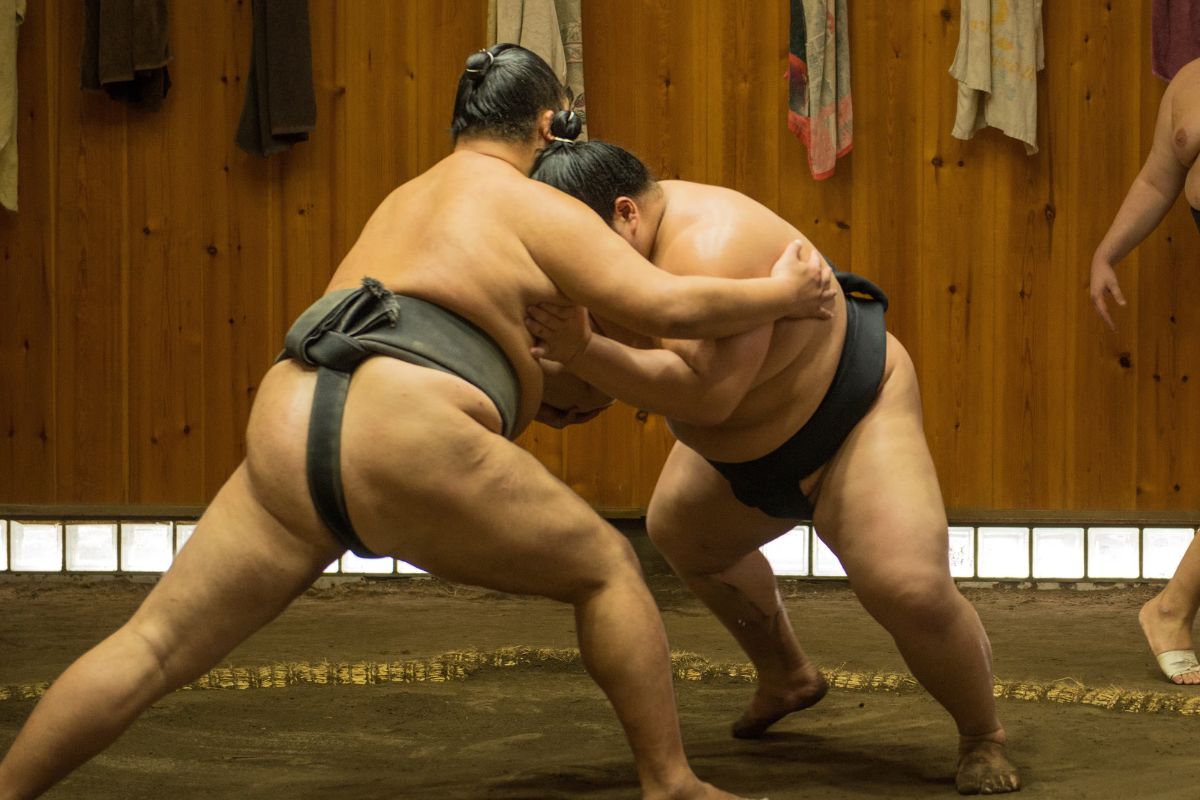 Sumo Wrestling Experience
