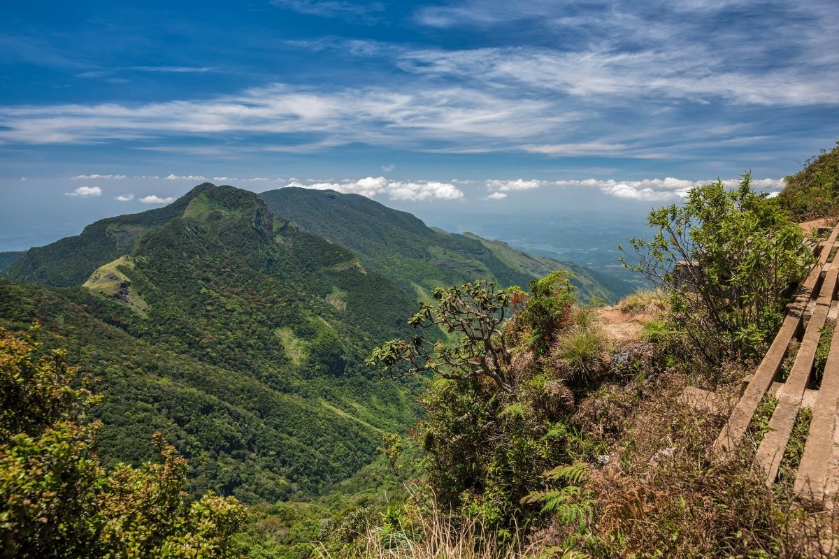 Horton Plains & World's End Hike