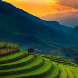 Mu Cang Chai