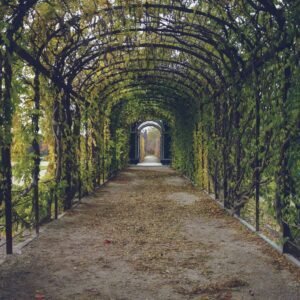 Spice Garden in Mawanella