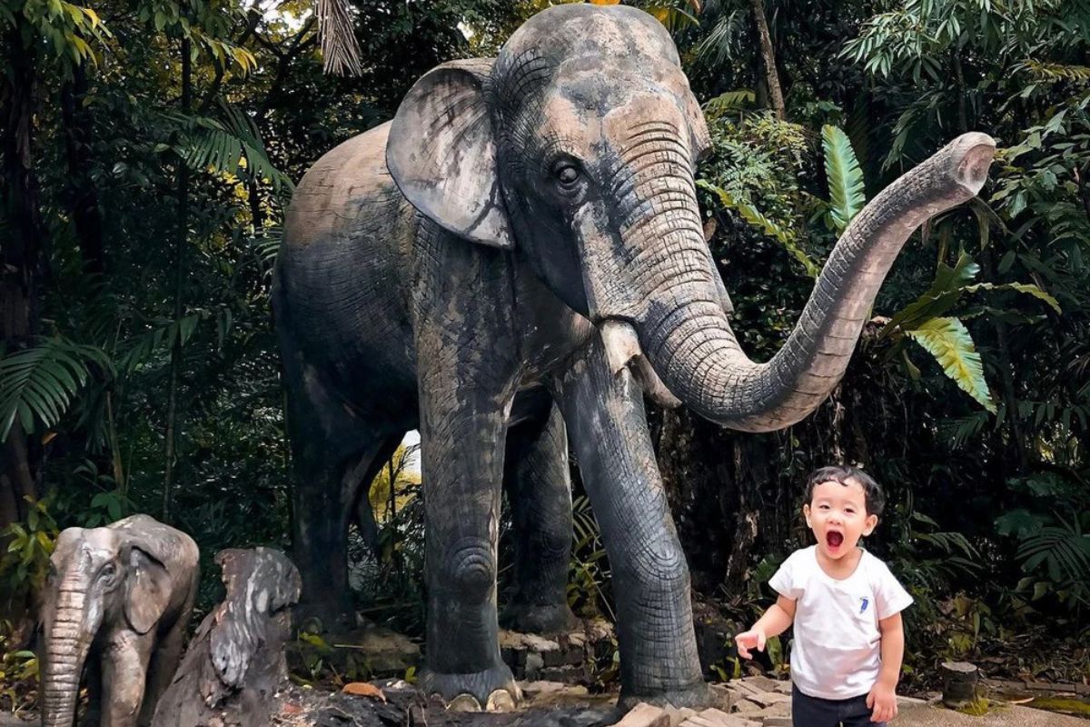 Visit Zoo Nagara