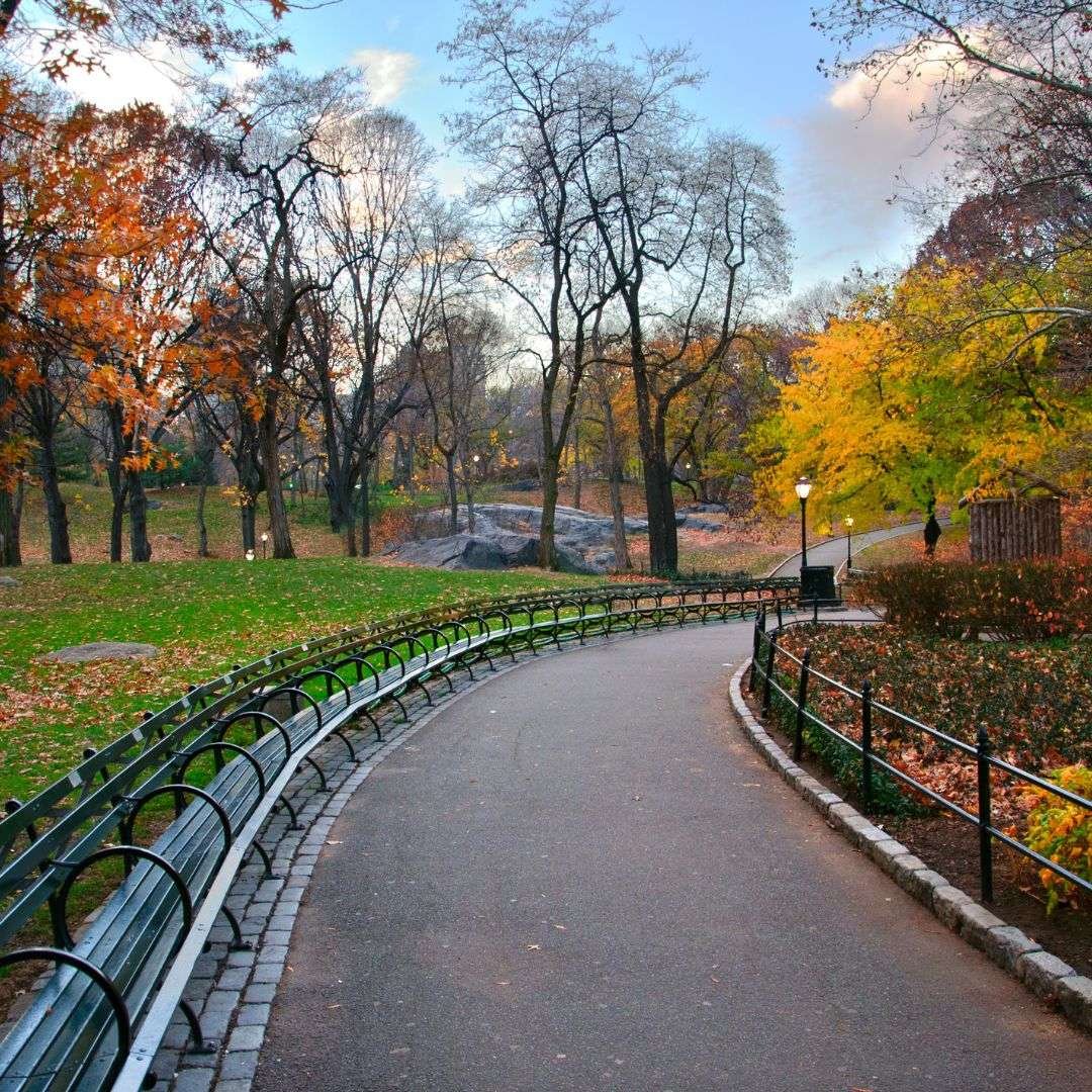 Central Park Central Park