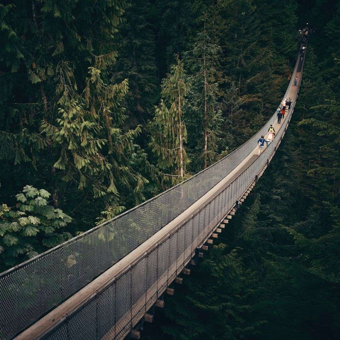 Capilano Suspension Bridge