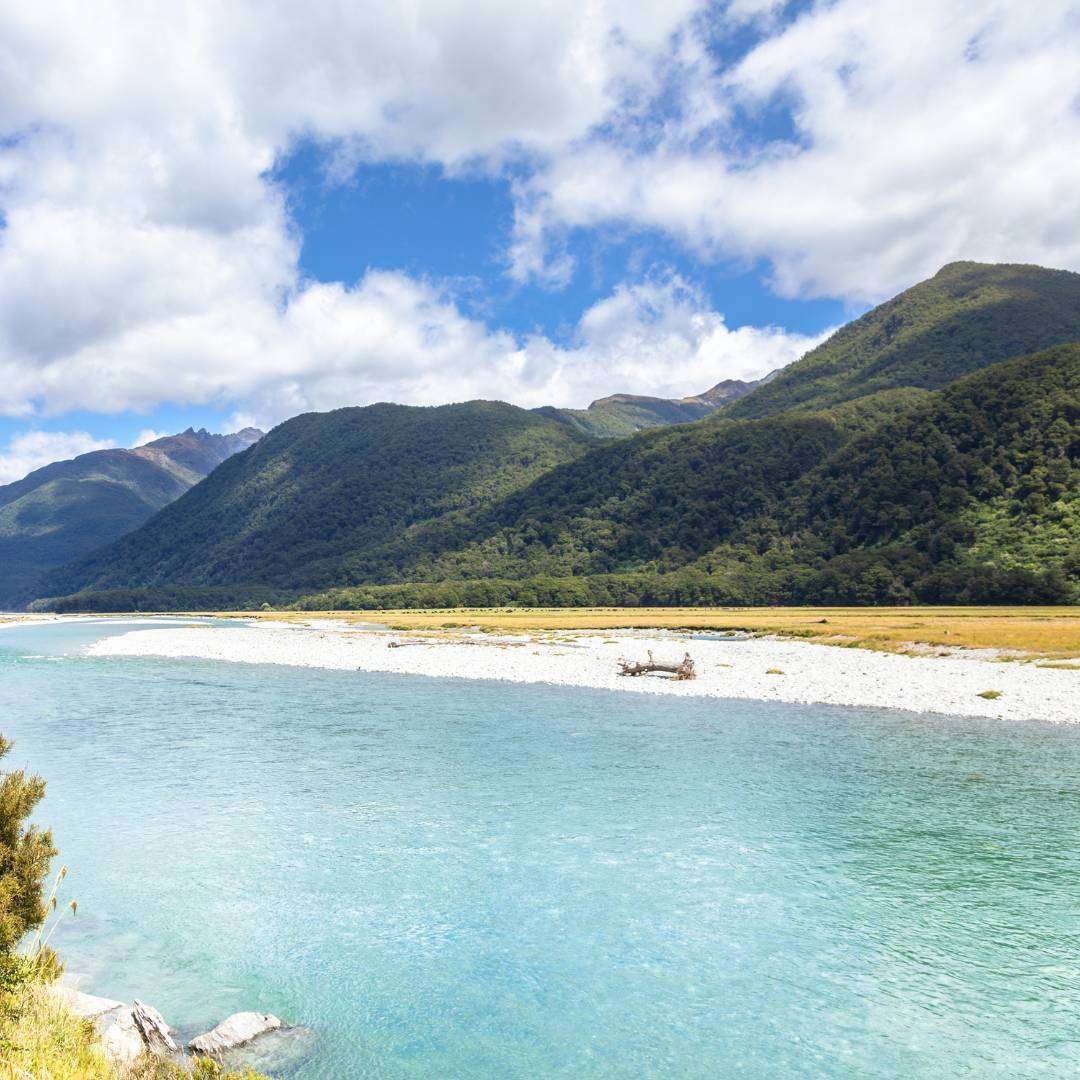 Haast River Landsborough Valley New Zealand