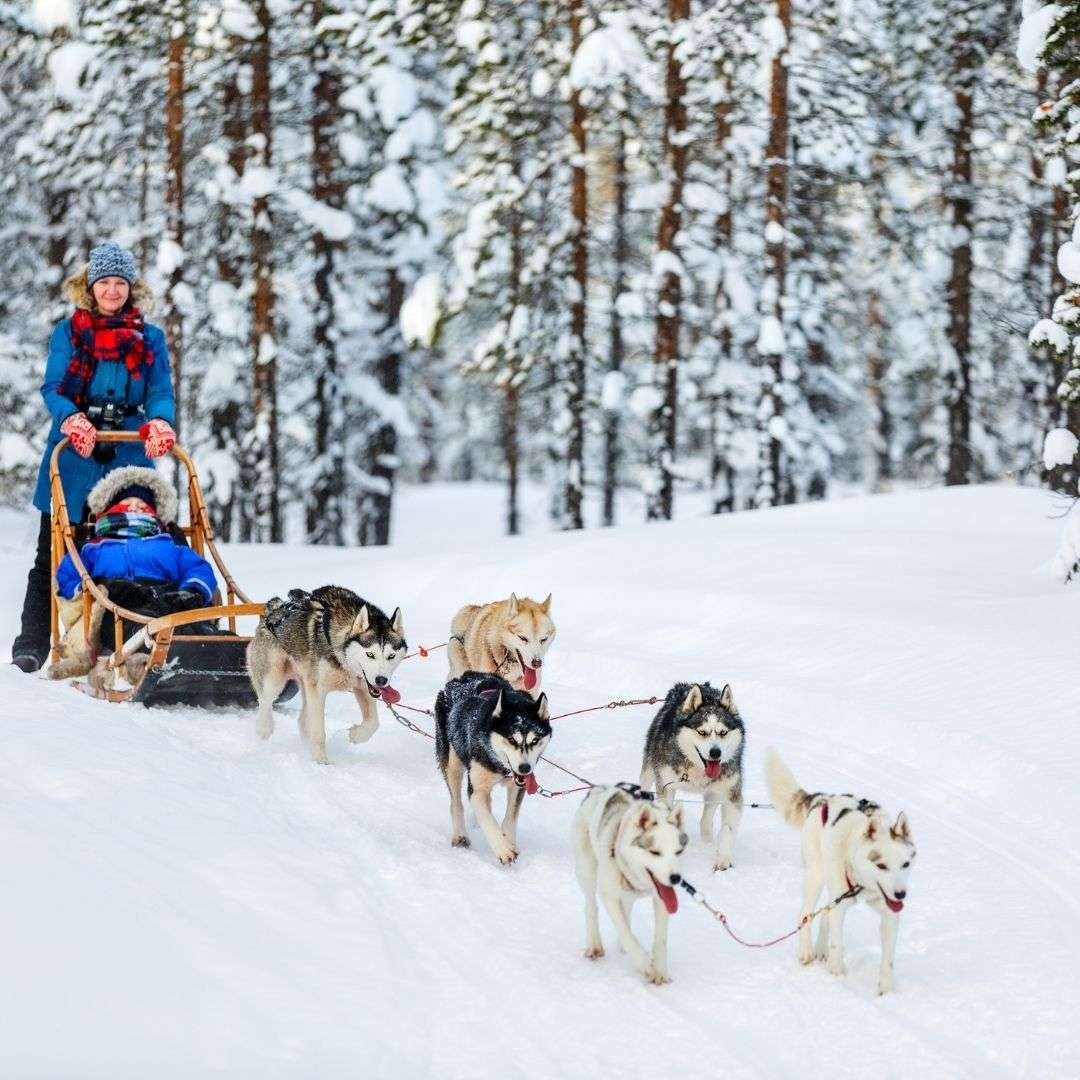 Husky Safari in Norway