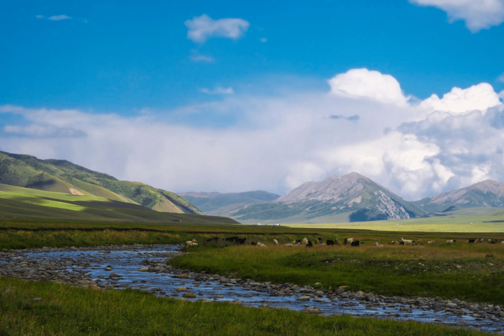 Beautiful green mountain valley with river and blue cloudy sky on background. Spring farm field landscape.
