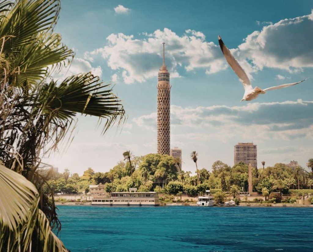 Cairo tower overlooking the nile river with palm trees and seagull